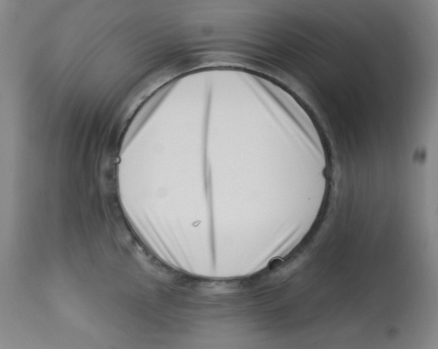 X0000113741145200910211119