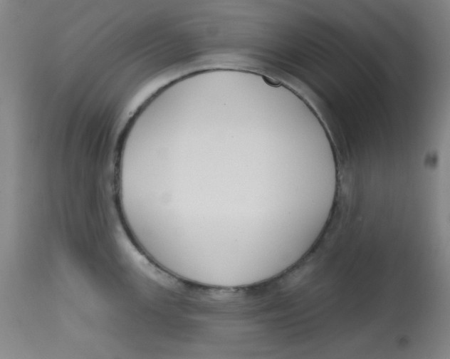 X0000113741147200910211119