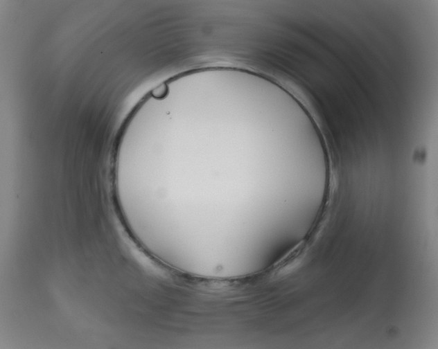 X0000113741149200910211119