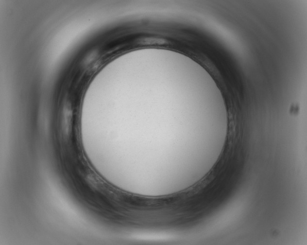 X0000113741151200910211119