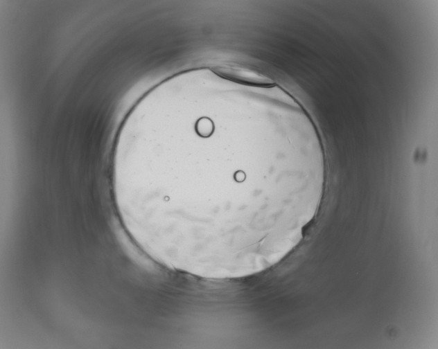 X0000113741152200910211119