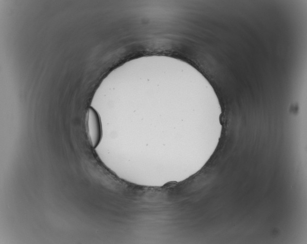 X0000113741153200910211118