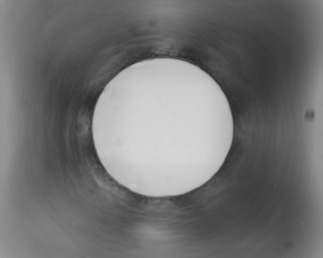 X0000113741154200910211118