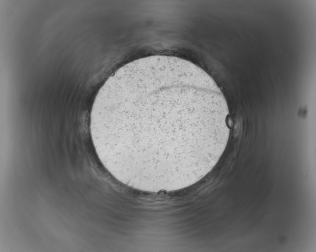 X0000113741156200910211118
