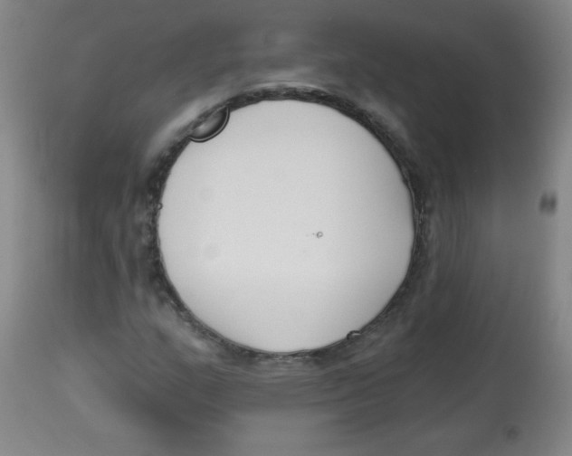 X0000113741159200910211118