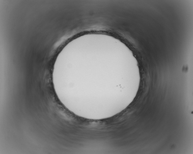 X0000113741160200910211118