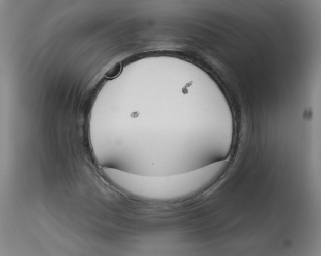 X0000113741161200910211118