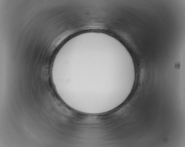 X0000113741162200910211118