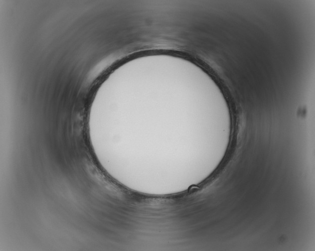 X0000113741163200910211118