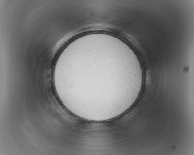X0000113741164200910211118