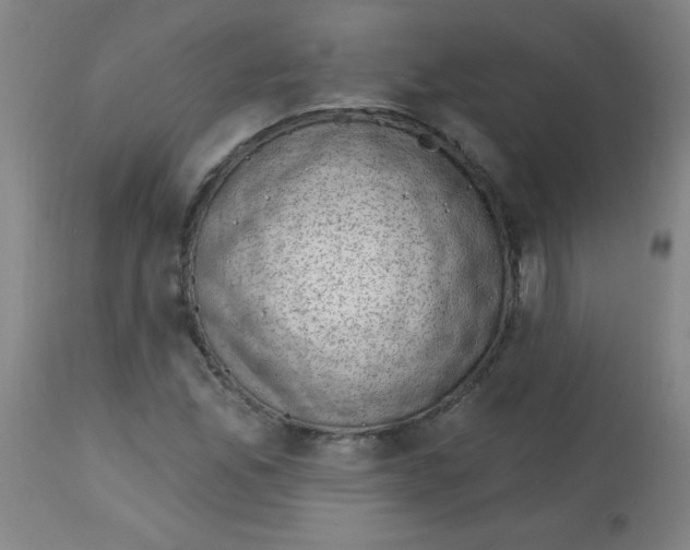 X0000113741165200910211118