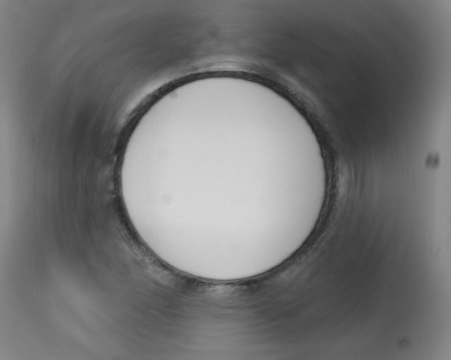 X0000113741166200910211118