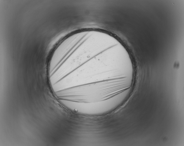 X0000113741167200910211118