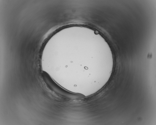 X0000113741168200910211118