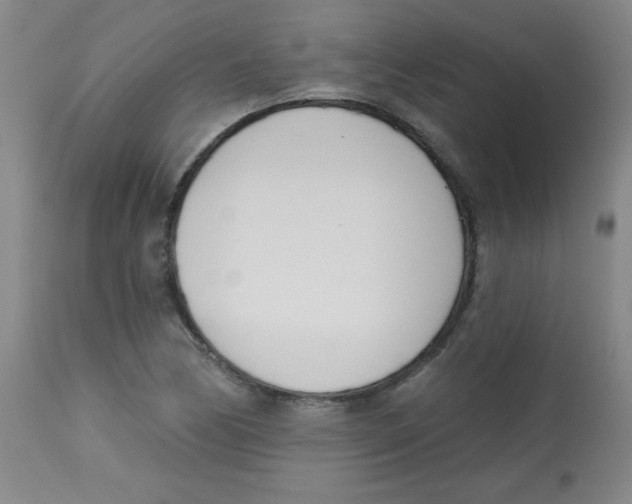X0000113741170200910211118
