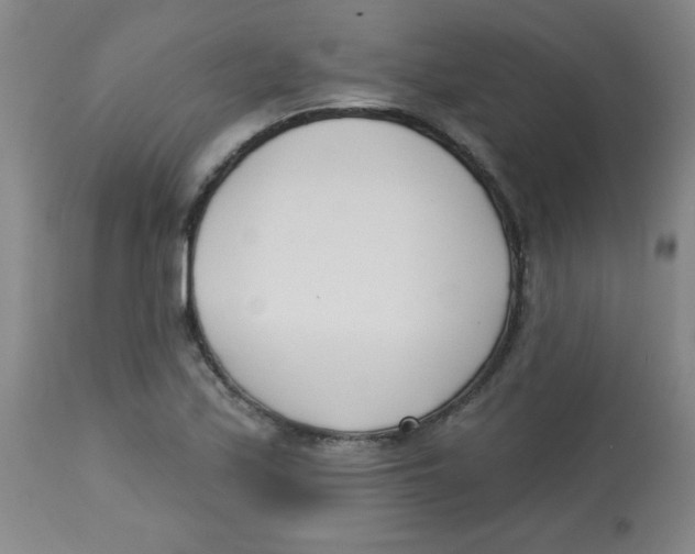 X0000113741171200910211118
