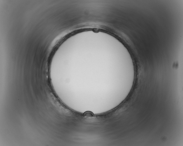 X0000113741172200910211118