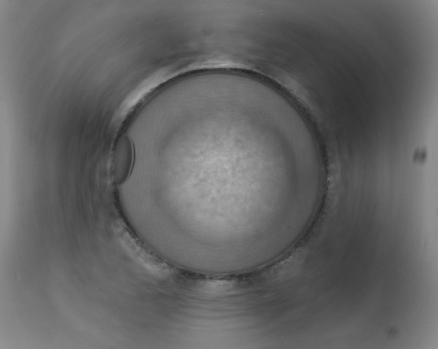 X0000113741173200910211118