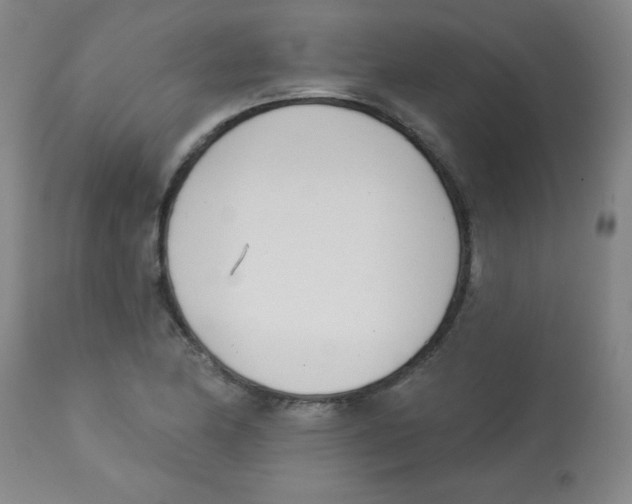 X0000113741174200910211118