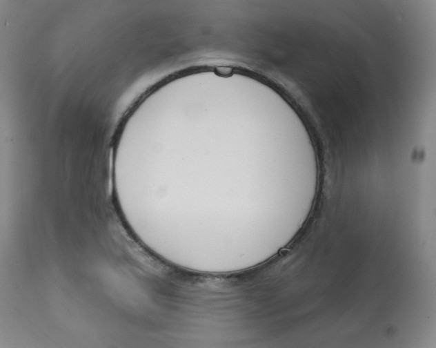 X0000113741175200910211118
