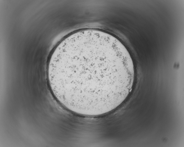 X0000113741176200910211118