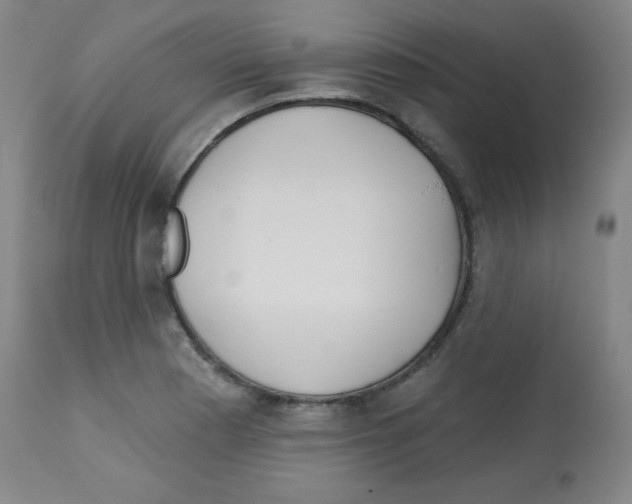 X0000113741177200910211118