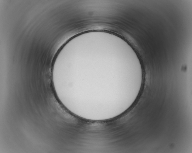 X0000113741178200910211118
