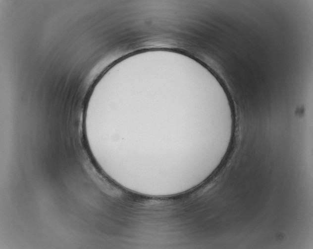 X0000113741179200910211118
