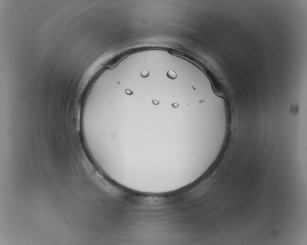 X0000113741180200910211118