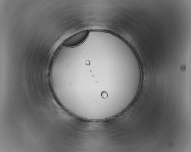 X0000113741181200910211118