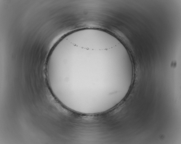 X0000113741182200910211118