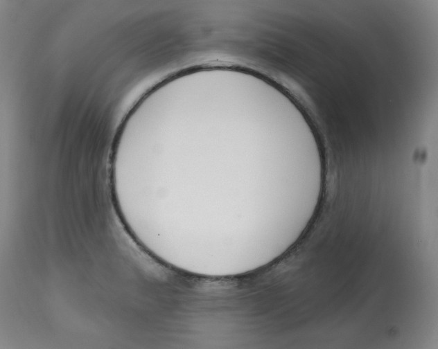 X0000113741183200910211118
