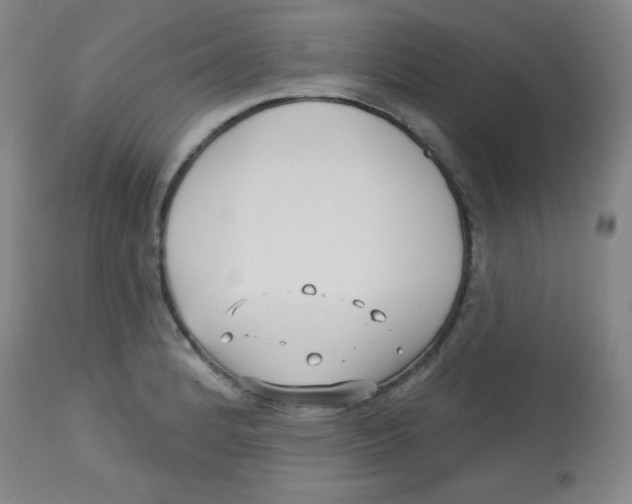 X0000113741184200910211118