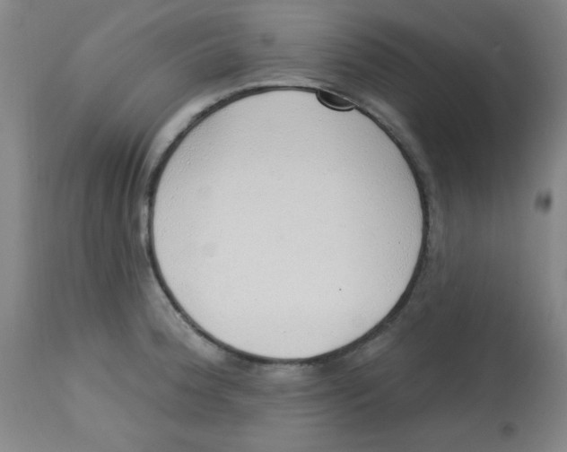 X0000113741188200910211118