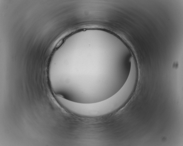 X0000113741189200910211118