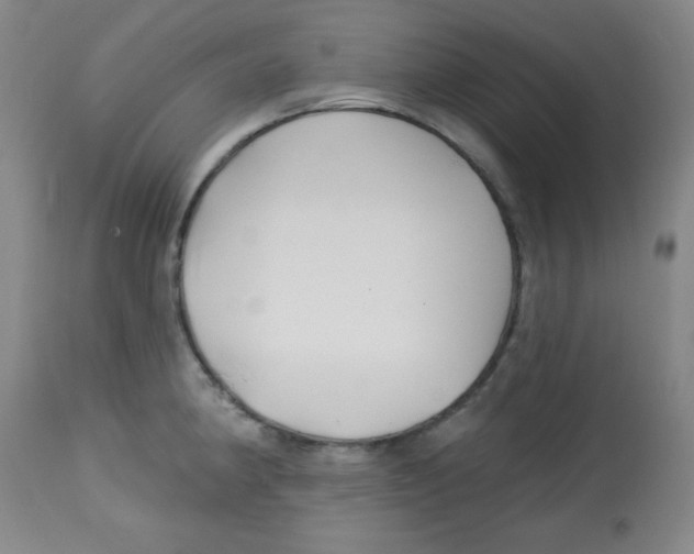 X0000113741190200910211118