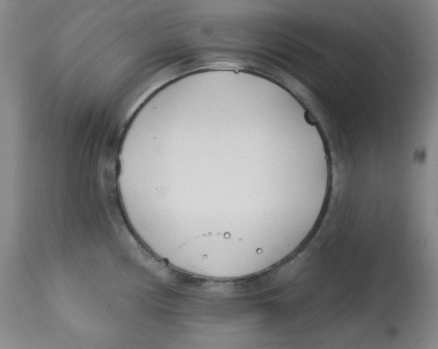 X0000113741194200910211118