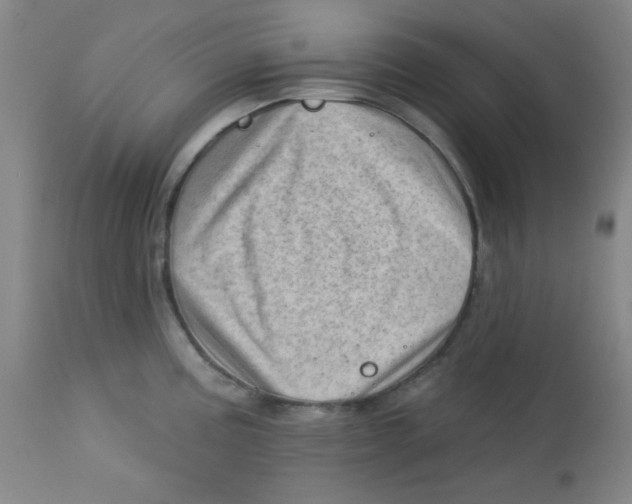 X0000113741195200910211118