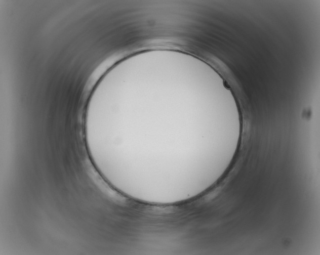 X0000113741196200910211118
