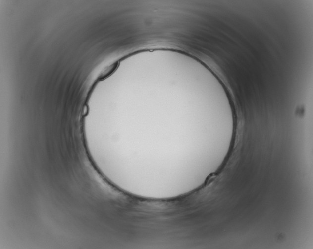 X0000113741197200910211118