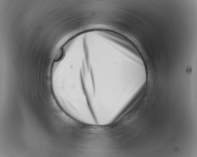 X0000113741199200910211118