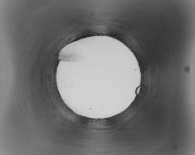 X0000113741201200910211117