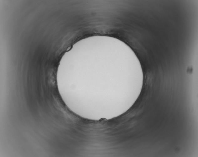 X0000113741202200910211117