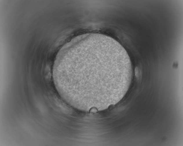 X0000113741203200910211117
