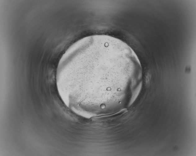 X0000113741204200910211117