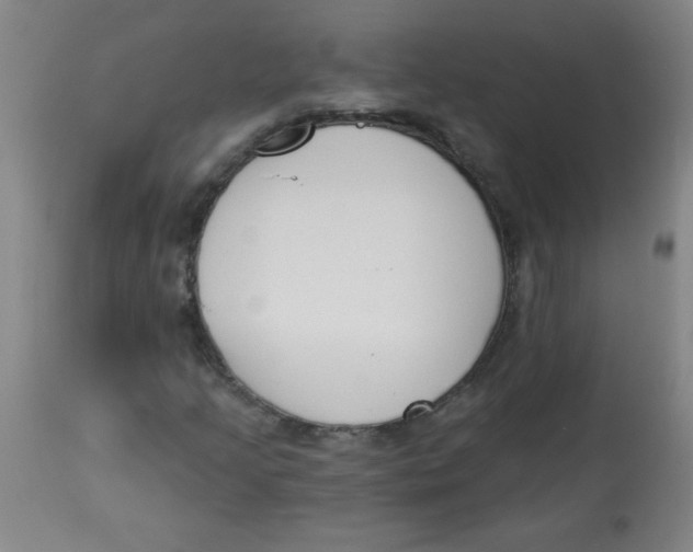 X0000113741205200910211117