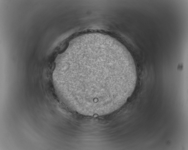 X0000113741207200910211117