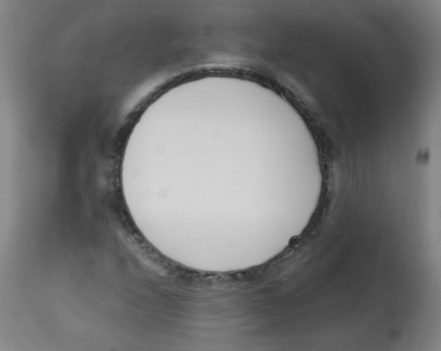 X0000113741208200910211117