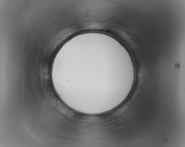 X0000113741209200910211117