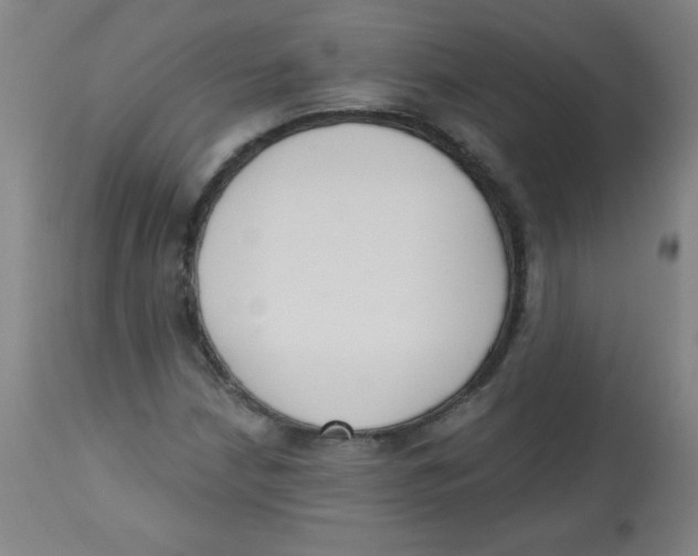 X0000113741210200910211117